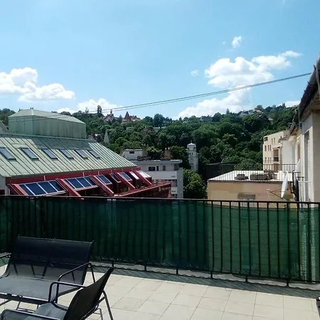 A Rooftop Near Danube And Margareth Island Budapest
