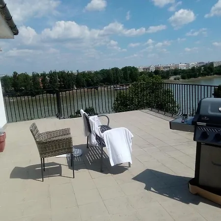 A Rooftop Near Danube And Margareth Island *
